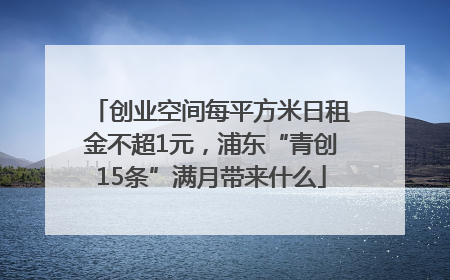 创业空间每平方米日租金不超1元，浦东“青创15条”满月带来什么