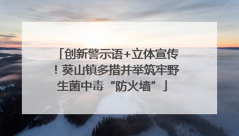 创新警示语+立体宣传！葵山镇多措并举筑牢野生菌中毒“防火墙”