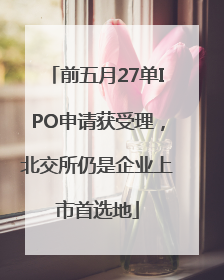 前五月27单IPO申请获受理，北交所仍是企业上市首选地