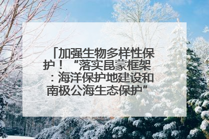 加强生物多样性保护！“落实昆蒙框架：海洋保护地建设和南极公海生态保护”主题论坛将举办