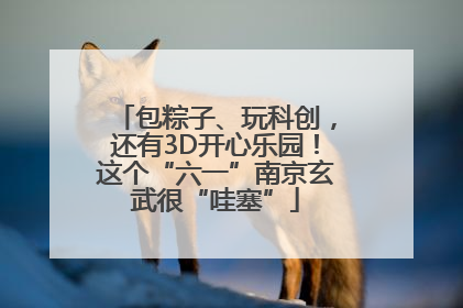包粽子、玩科创，还有3D开心乐园！这个“六一”南京玄武很“哇塞”