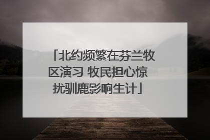 北约频繁在芬兰牧区演习 牧民担心惊扰驯鹿影响生计