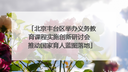 北京丰台区举办义务教育课程实施创新研讨会 推动国家育人蓝图落地