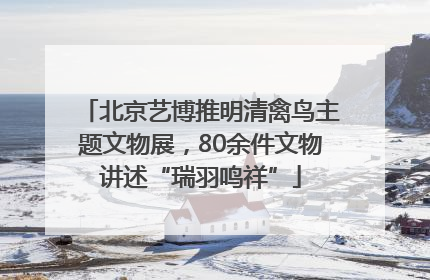 北京艺博推明清禽鸟主题文物展，80余件文物讲述“瑞羽鸣祥”