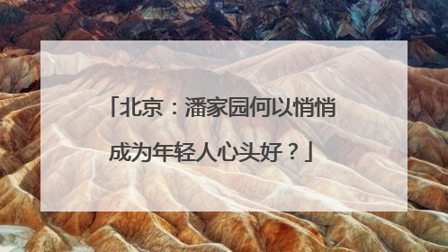 北京：潘家园何以悄悄成为年轻人心头好？