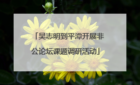 吴志明到平潭开展非公论坛课题调研活动