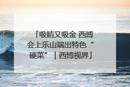 吸睛又吸金 西博会上乐山端出特色“硬菜”｜西博视界