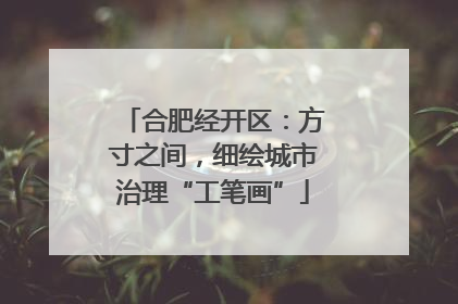 合肥经开区：方寸之间，细绘城市治理“工笔画”