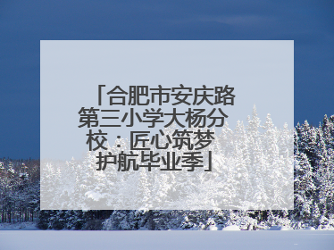 合肥市安庆路第三小学大杨分校：匠心筑梦 护航毕业季