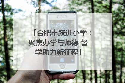 合肥市跃进小学：聚焦办学与师德 督学助力新征程