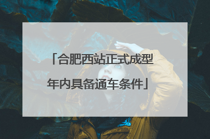 合肥西站正式成型 年内具备通车条件