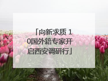 向新求质 10国外籍专家开启西安调研行