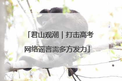 君山观潮｜打击高考网络谣言需多方发力