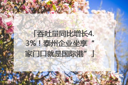 吞吐量同比增长4.3%！泰州企业坐享“家门口就是国际港”