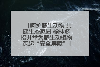 呵护野生动物 共建生态家园 榆林多措并举为野生动植物筑起“安全屏障”
