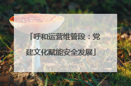 呼和运营维管段：党建文化赋能安全发展