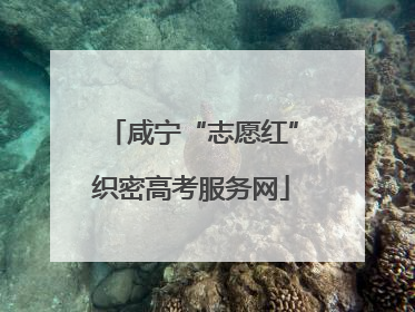 咸宁“志愿红”织密高考服务网