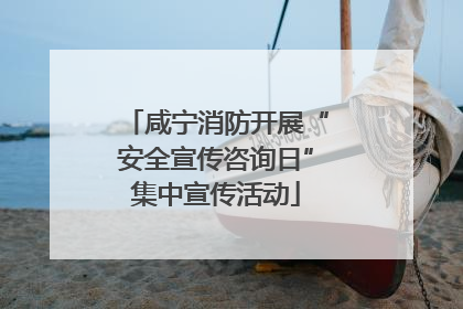 咸宁消防开展“安全宣传咨询日”集中宣传活动