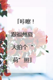 咔嚓！跟福州夏天拍个“荷”照