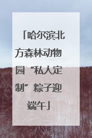 哈尔滨北方森林动物园“私人定制”粽子迎端午