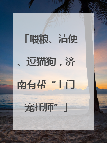 喂粮、清便、逗猫狗，济南有帮“上门宠托师”