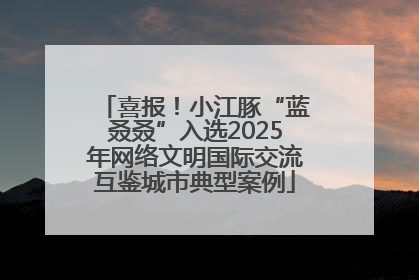 喜报！小江豚“蓝叒叒”入选2025年网络文明国际交流互鉴城市典型案例