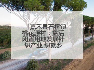 嘉禾县石桥镇桃花源村：盘活闲置用地发展针织产业 织就乡村振兴新图景
