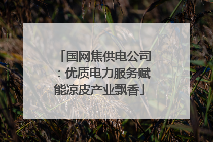 国网焦供电公司：优质电力服务赋能凉皮产业飘香
