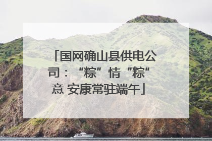 国网确山县供电公司：“粽”情“粽”意 安康常驻端午
