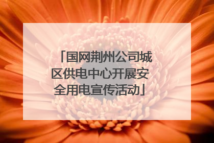 国网荆州公司城区供电中心开展安全用电宣传活动