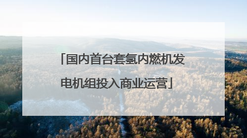 国内首台套氢内燃机发电机组投入商业运营