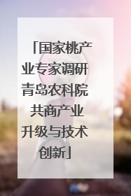 国家桃产业专家调研青岛农科院 共商产业升级与技术创新