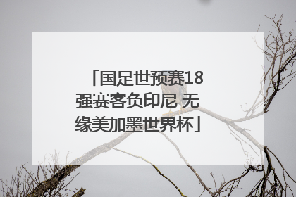 国足世预赛18强赛客负印尼 无缘美加墨世界杯