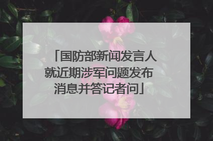 国防部新闻发言人就近期涉军问题发布消息并答记者问