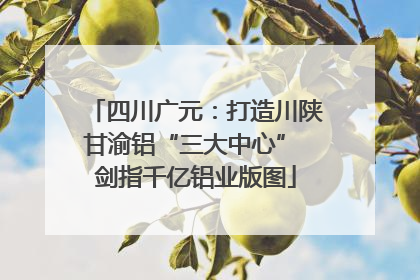 四川广元：打造川陕甘渝铝“三大中心” 剑指千亿铝业版图