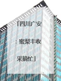 四川广安：蜜梨丰收采摘忙