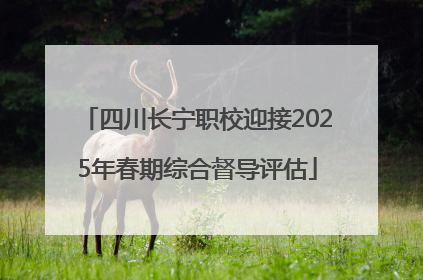 四川长宁职校迎接2025年春期综合督导评估