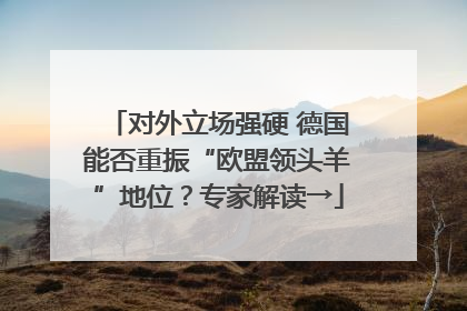 对外立场强硬 德国能否重振“欧盟领头羊”地位？专家解读→