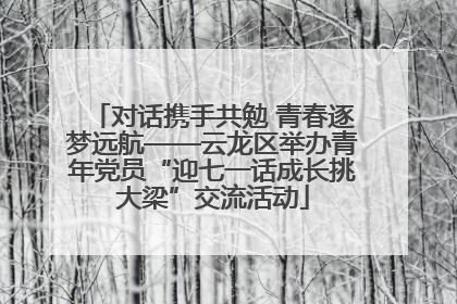 对话携手共勉 青春逐梦远航——云龙区举办青年党员“迎七一话成长挑大梁”交流活动