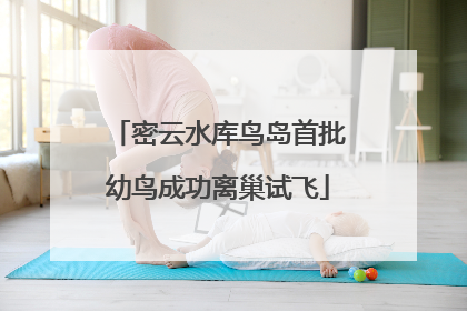 密云水库鸟岛首批幼鸟成功离巢试飞