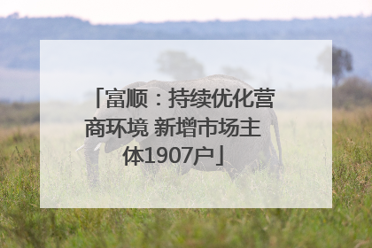 富顺：持续优化营商环境 新增市场主体1907户