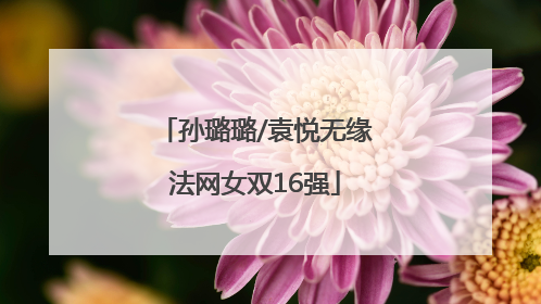 孙璐璐/袁悦无缘法网女双16强
