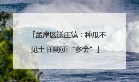 孟津区送庄镇：种瓜不见土 田野更“多金”
