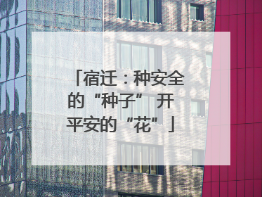 宿迁：种安全的“种子” 开平安的“花”