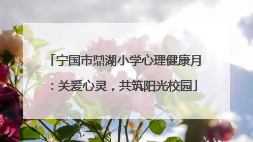 宁国市鼎湖小学心理健康月：关爱心灵，共筑阳光校园