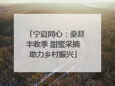 宁夏同心：桑葚丰收季 甜蜜采摘助力乡村振兴