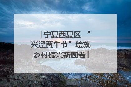 宁夏西夏区 “兴泾黄牛节”绘就乡村振兴新画卷