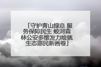 守护青山绿意 服务保障民生 蛟河森林公安多维发力绘就生态惠民新画卷