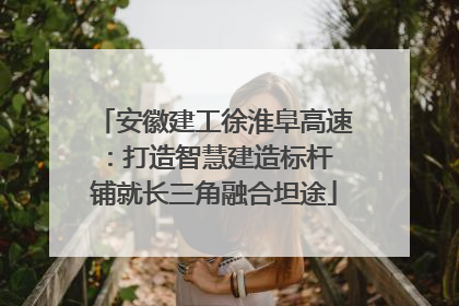 安徽建工徐淮阜高速：打造智慧建造标杆 铺就长三角融合坦途