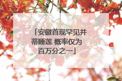 安徽首现罕见并蒂睡莲 概率仅为百万分之一